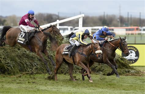 Grand National 2016: a horse.